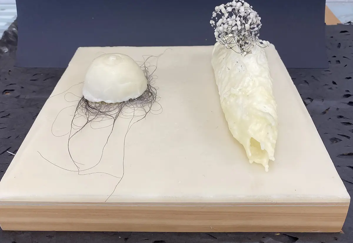 Dobbs vs Jackson Response 3 — Sculpture · 12" × 12"